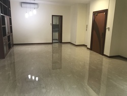 The Petals (D23), Condominium #173187912